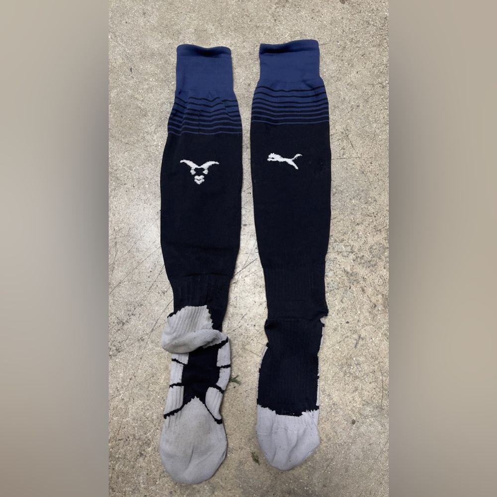 Guadalajara C.D (chivas.) soccer socks.